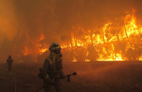 En el verano de 2006, en dos semanas, a lo largo de la autopista del Atlántico entre Pontevedra y Santiago, ardieron más de 70.000 hectáreas (una superficie equivalente al 25 % de las hectáreas quemadas durante los 17 años anteriores).