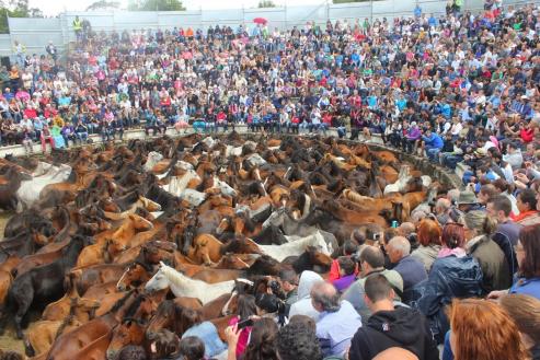 Rapa das bestas, curro de Sabucedo, fiesta de interés turistico 