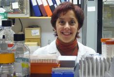 Los investigadores liderados por una gallega "cerca" al melanoma